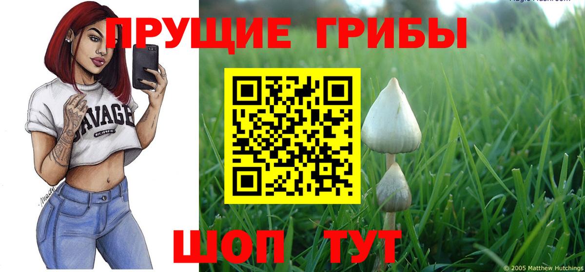 Псилоцибиновые грибы Magic Shrooms  Вход с VPN  Новоуральск  Галлюциногенные грибы GOLDEN TEACHER 